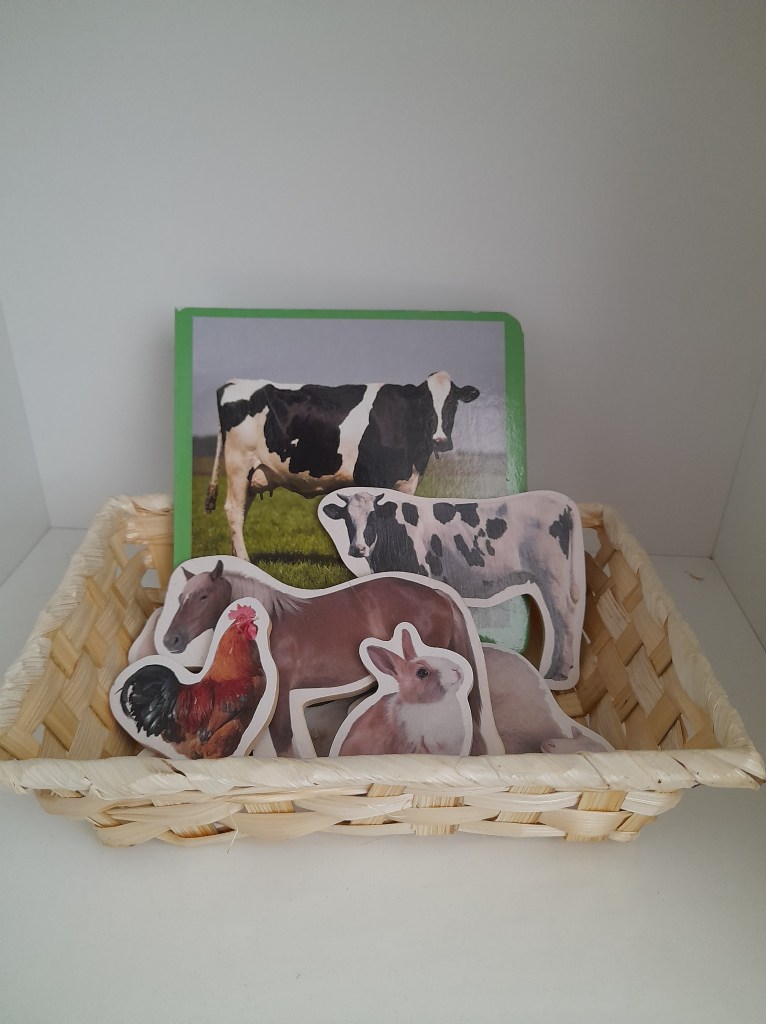 Imágenes reales. Nuevo Artica.