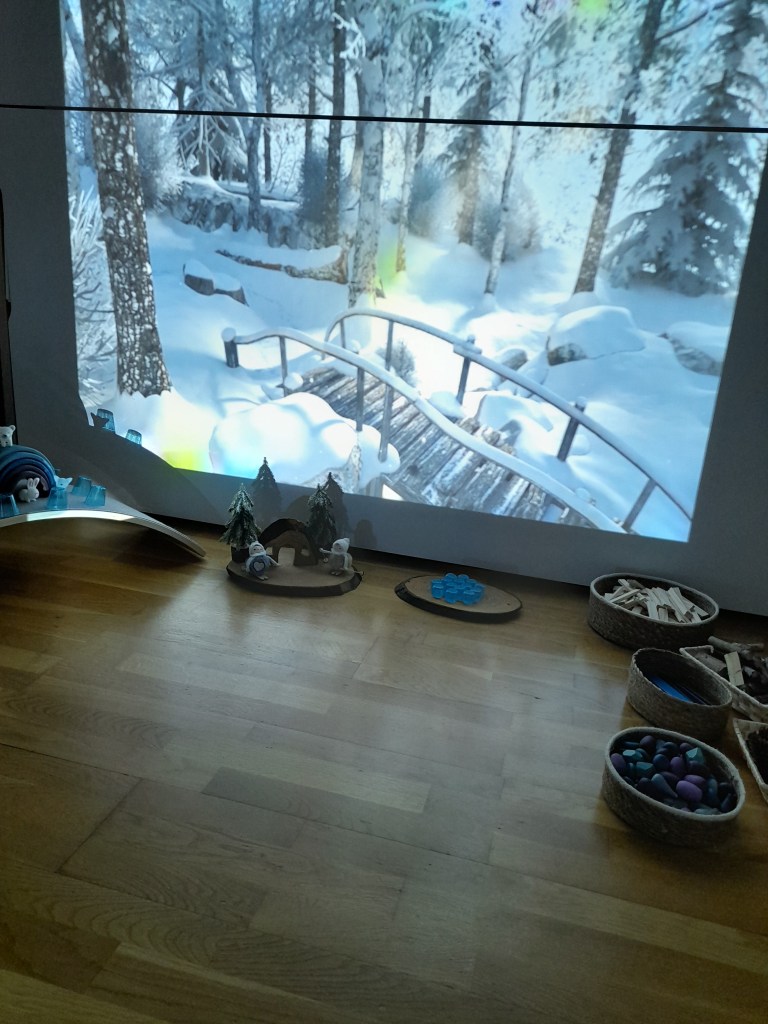 Proyección inmersiva. Nuevo Artica.