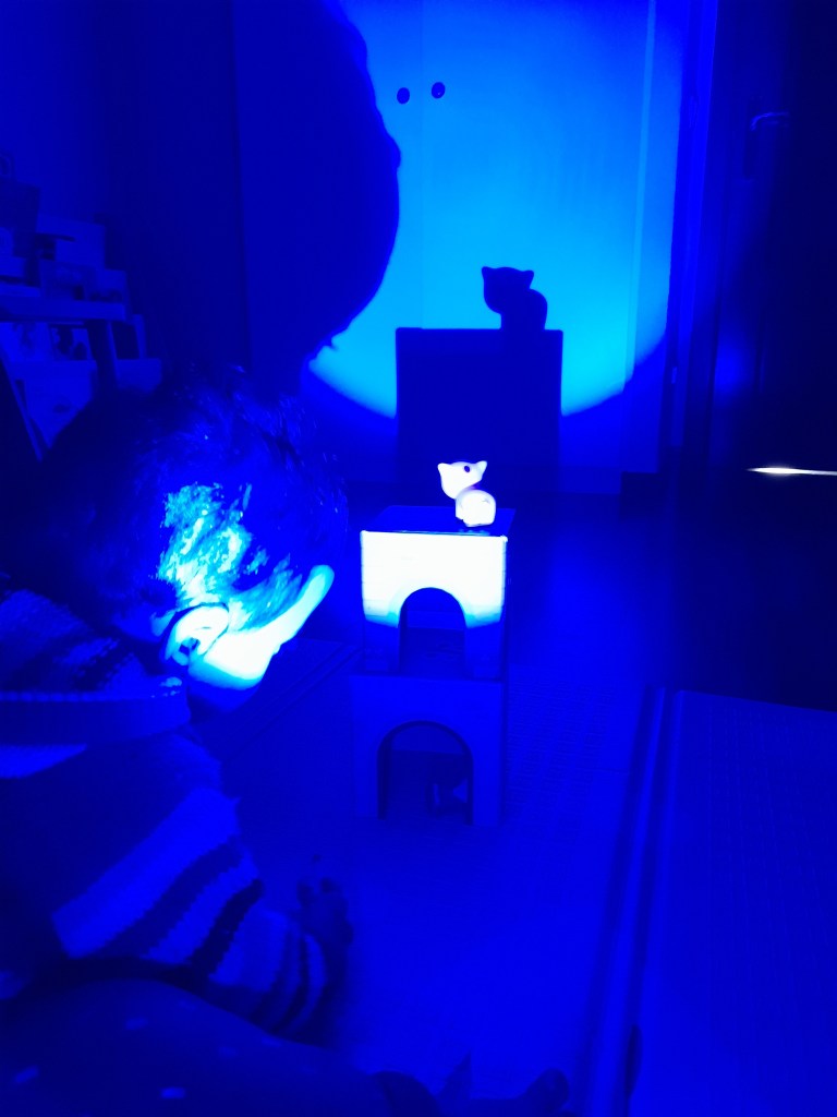 Luces y sombras. Nuevo Artica.